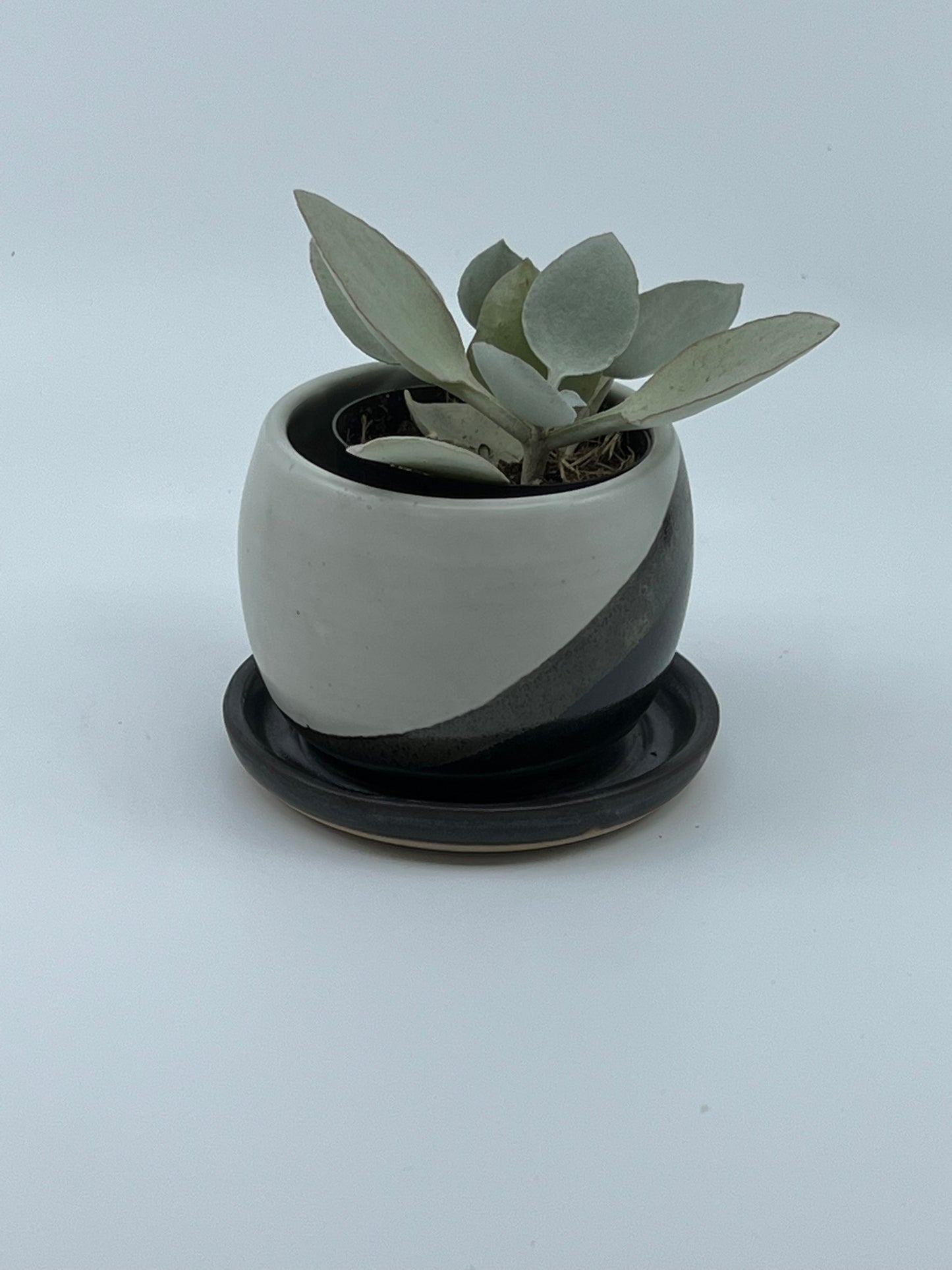 Small Planter